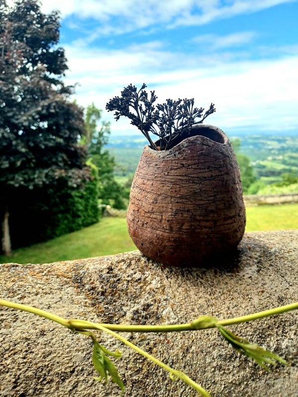 Sillons de terre