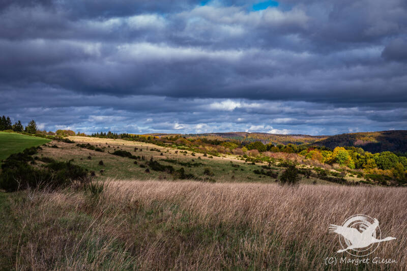 Wollseifen Dreiborner Hochfläche NS-Ordensburg Vogelsang Schleiden Eifel Gemünd Herhahn Dreiborn Wüstung