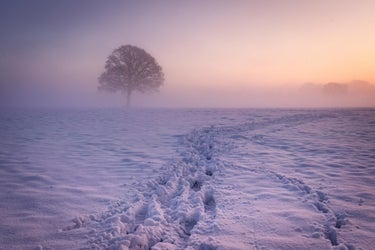 Aachen weite Landschaft Nebel Schnee Winter goldene Stunde Sonnenaufgang