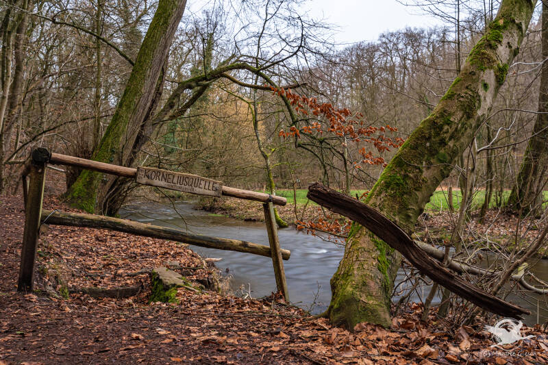Kornelimünster Korneliusquelle Inde Klauser Wäldchen NSG Aachen