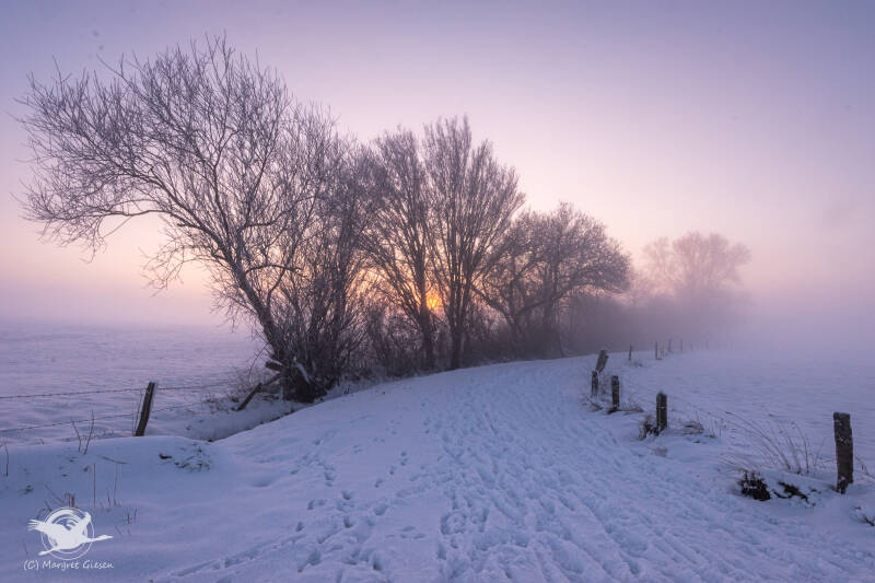Rurauen Jülich Kreis Düren NSG Hasenglöckchen Frühling Kellenberger Kamp Barmen