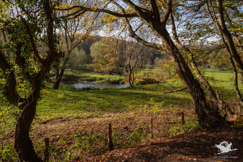 Wurmtal Aachen Würselen Städteregion Aachen NSG Wurm