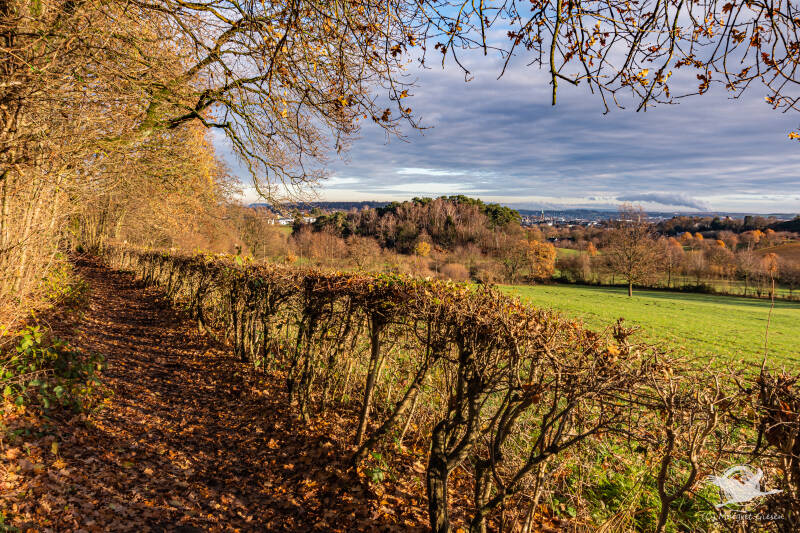 Aachen Preuswald Stadtwald Vaals