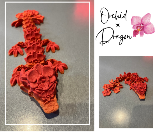 Orchid Dragon