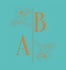 Anne Baudelet