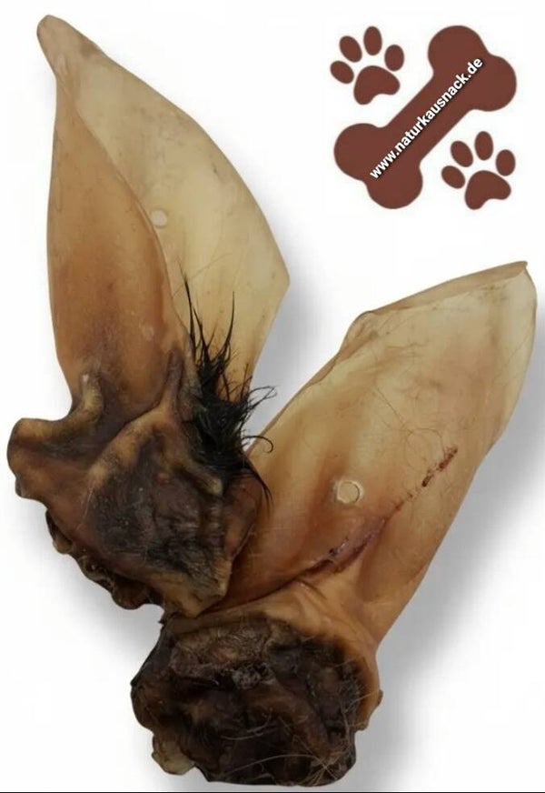 Rinderohren mit Muschel  5 Stück