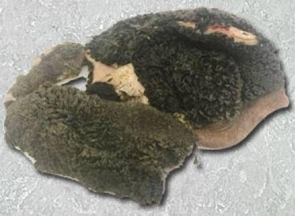 Pansen ganz  1kg