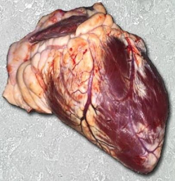 Rinderherz am Stück 1kg