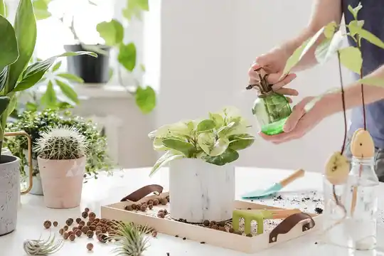 PlantCarePlus™