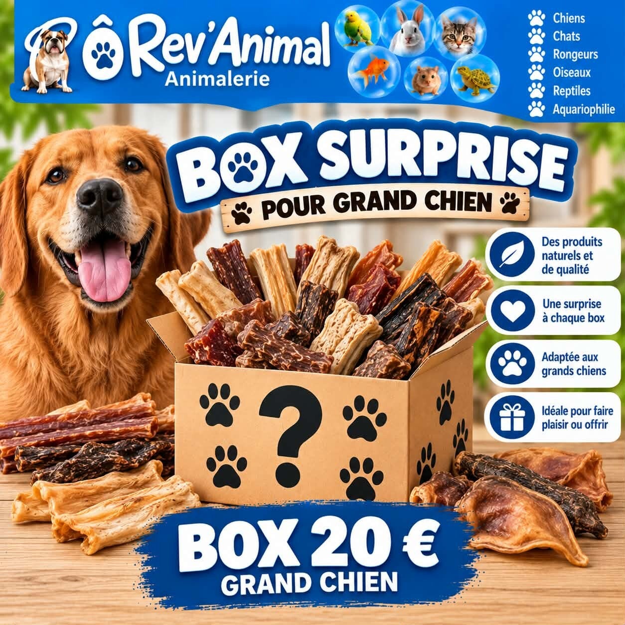 box surprise personnalisée  chien grande taille
