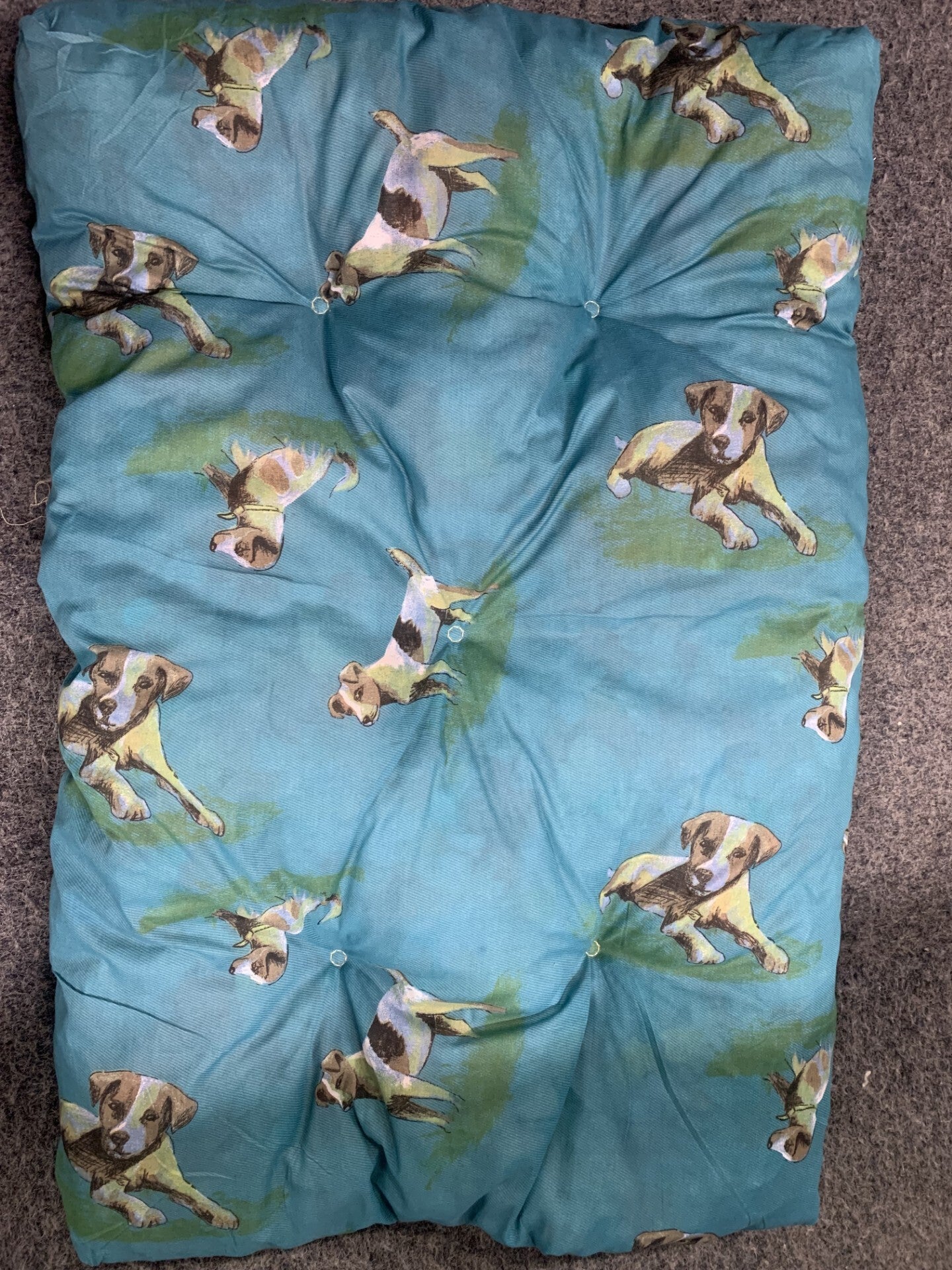 Coussin chien 90x60 couleur bleu clair