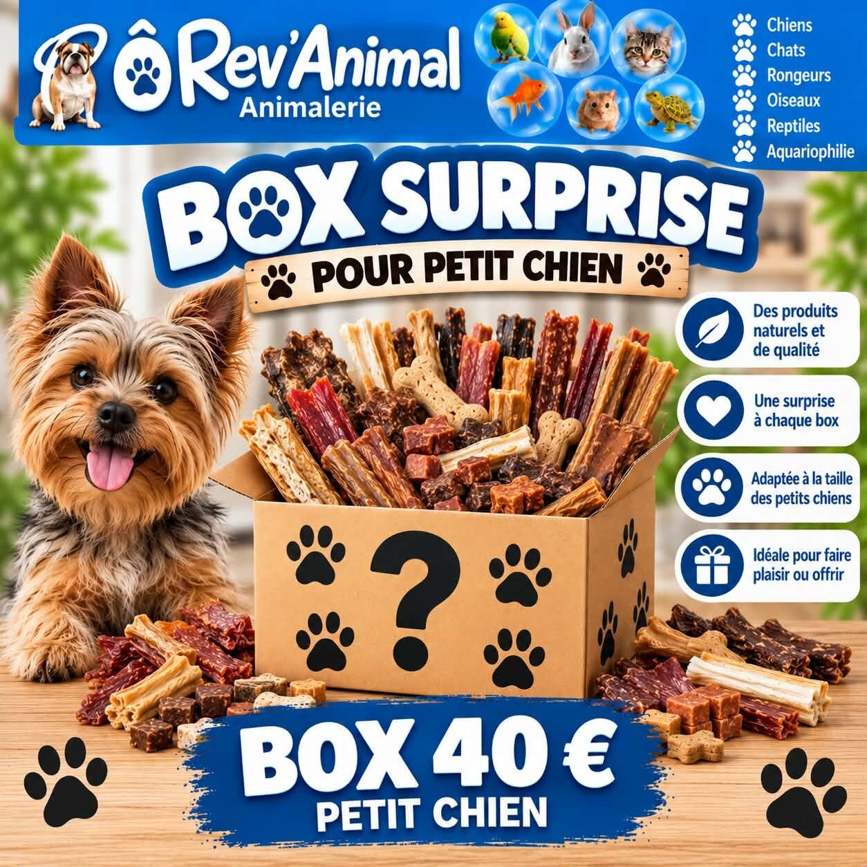 box surprise personnalisée Petit chien