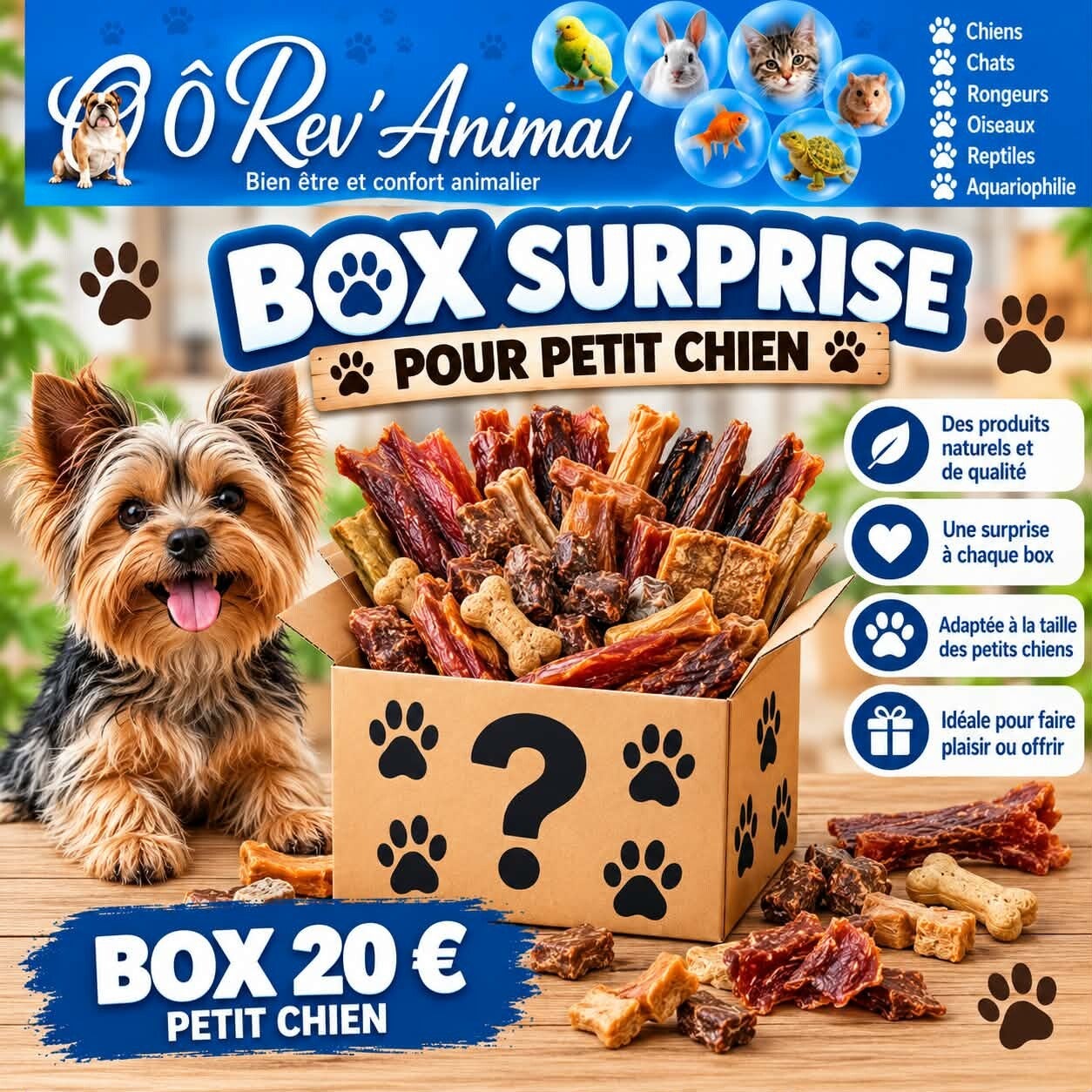 box surprise personnalisée Petit chien
