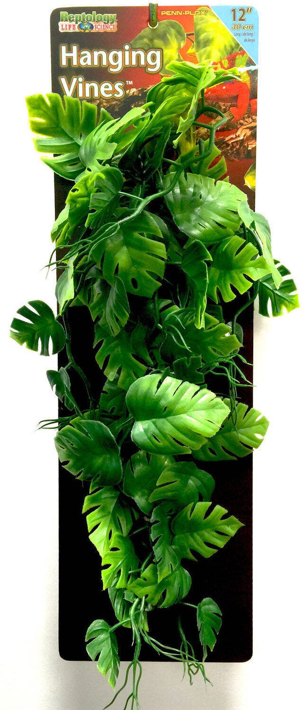 REP420 REPTILE VINE VERT 30CM