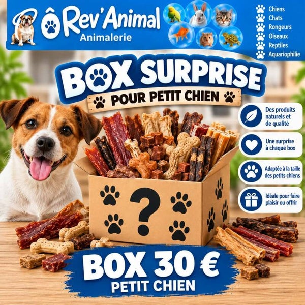 box surprise personnalisée Petit chien