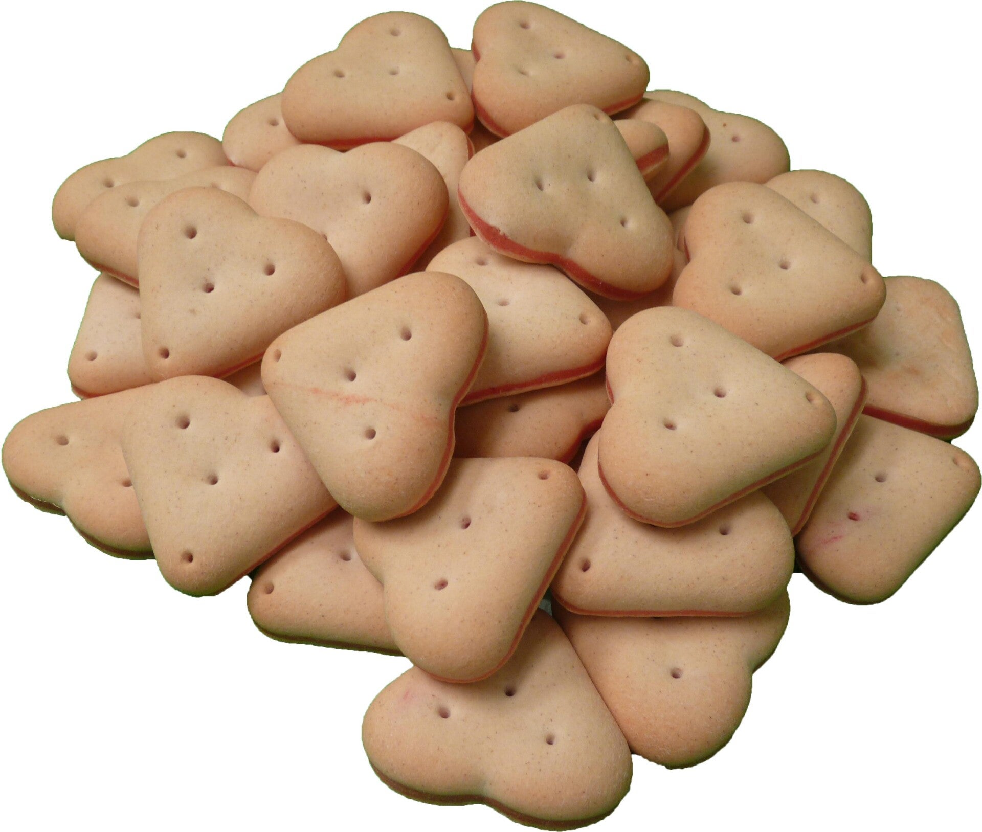 cœur au saumon pour chien x15