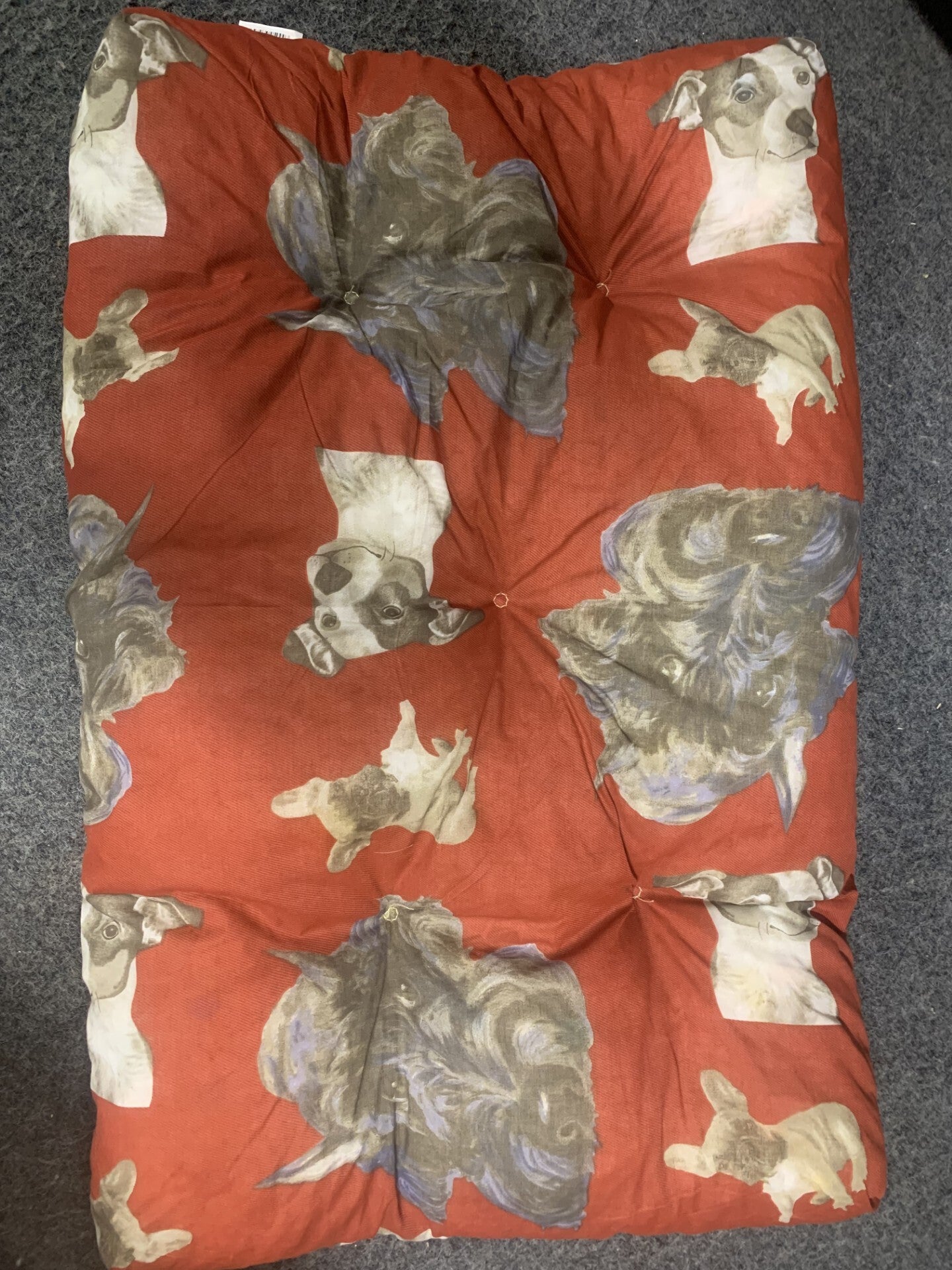 Coussin chien 90x60 couleur orange