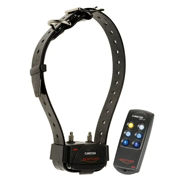 Ensemble de dressage CANICOM 250