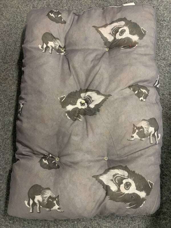 Coussin chien 90x60 couleur gris clair