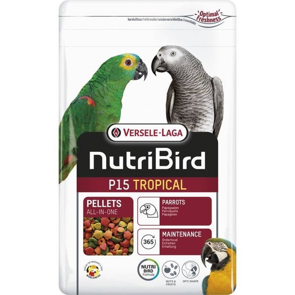 P15 perroquet tropical 3kg