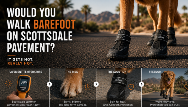 Dog Shoes for Hot Pavement, Dog Snow Booties for Medium to Large Dogs Dog Boots & Paw Protectors Waterproof&Anti-Slip with Reflective for Hardfloors,Walking