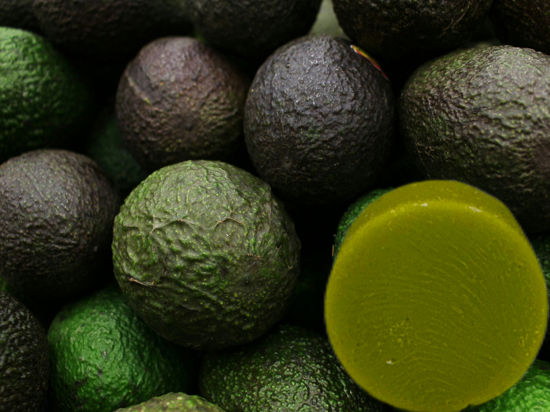 Aren’t You Glad I Said Avocado!