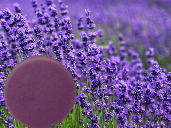 Lavender Goat Milk Bar