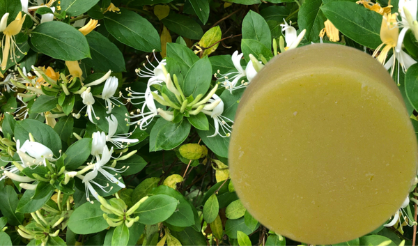 Honeysuckle Shea Butter Face bar