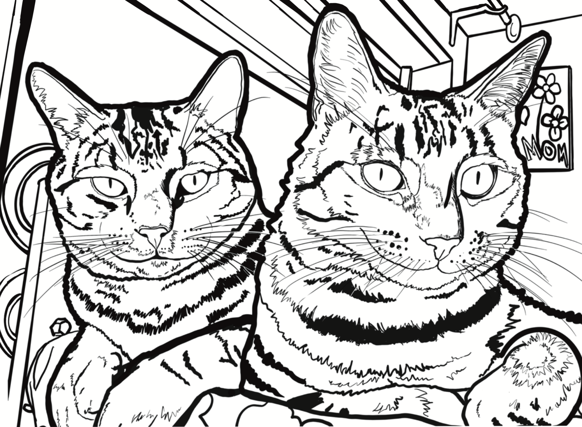 Cat colouring pages