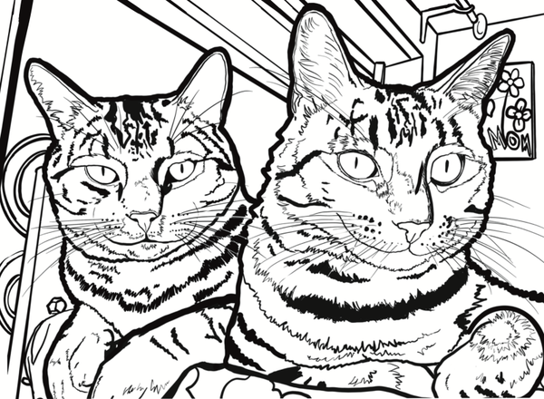 Cat colouring pages
