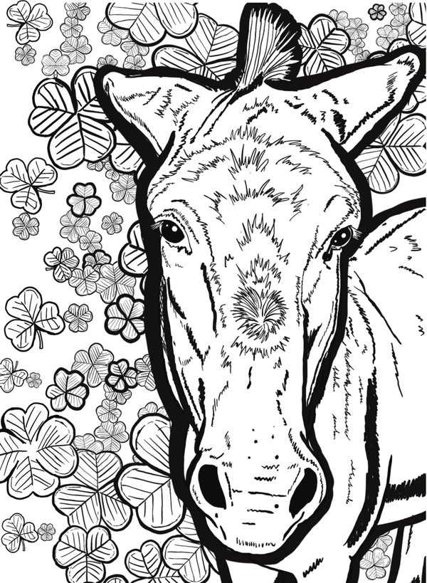 Colouring pages: Equine