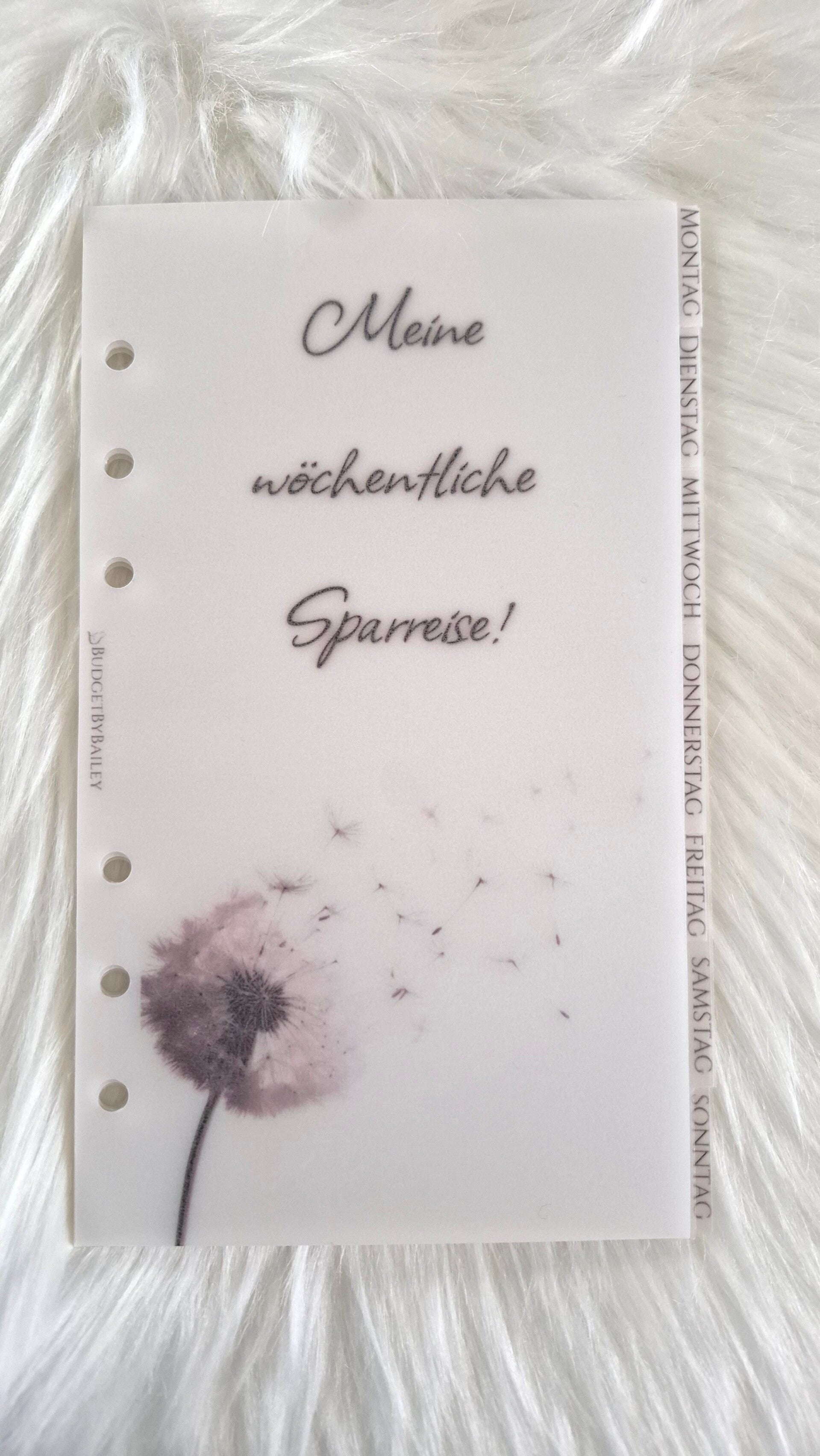 Register wöchentliche Sparreise | Budget Binder Trennblatt A5 A6 A7 | Dashboard mit Tabs