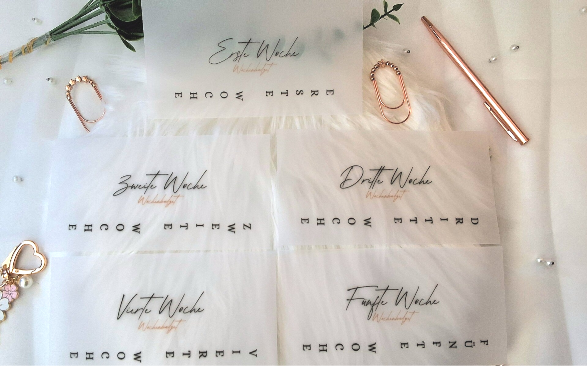 Dashboard Bundle Wochenbudget, Woche 1 - 5 und Back To Bank, " Elegance" Transparent/ Weiß/ Flower A6 & A7