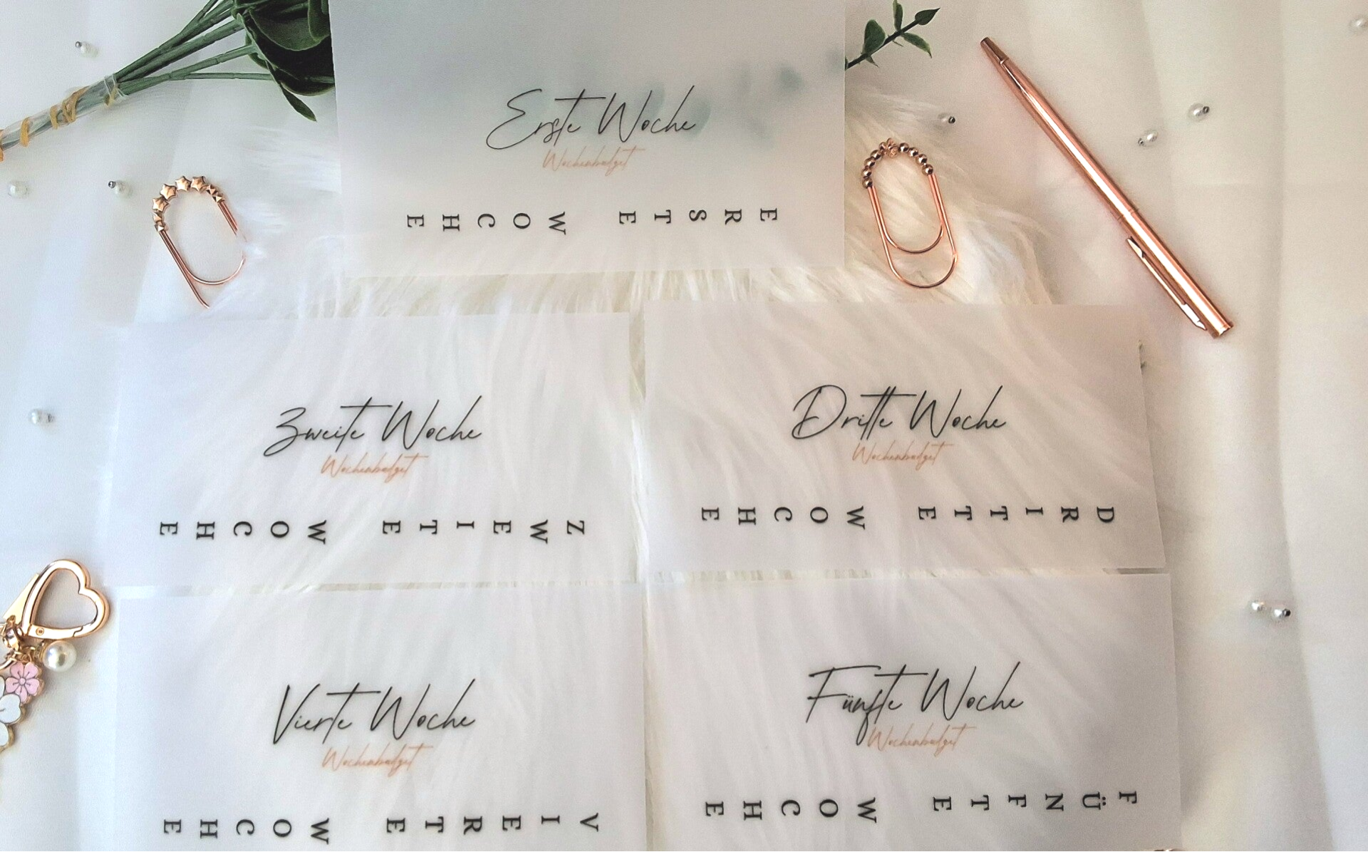 Dashboard Bundle Woche 1 - 5 und Back To Bank, " Elegance" Transparent/ Weiß/ FlowerA6 & A7