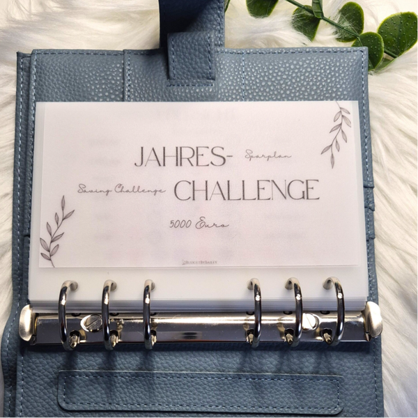 Sparplan mit Übersicht I Jahreschallenge verschiedene Sparziele I A7, A6 & A5 I Jahreschallenge in 14 transparenten Umschlägen I Geld sparen I Budgeting I Spar Challenge