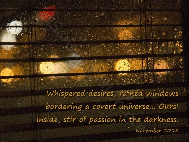 Jottings Love November Man