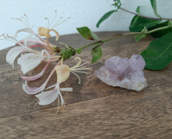 Cactuskwarts - Spiritkwarts Cluster Uniek