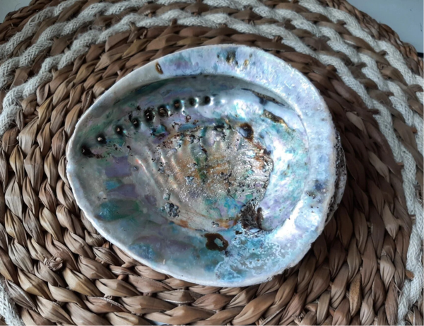 Abalone Schelp