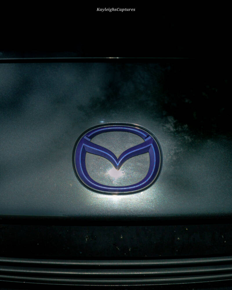 img_0104-standard.jpg