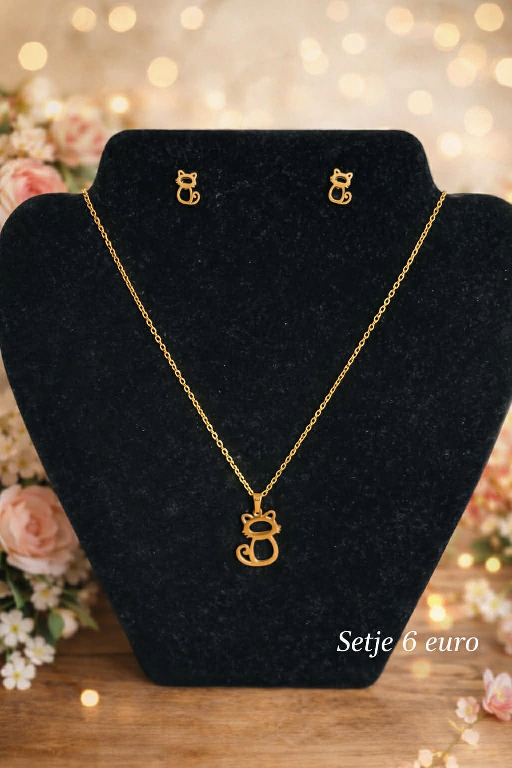 Ketting + oorbellen