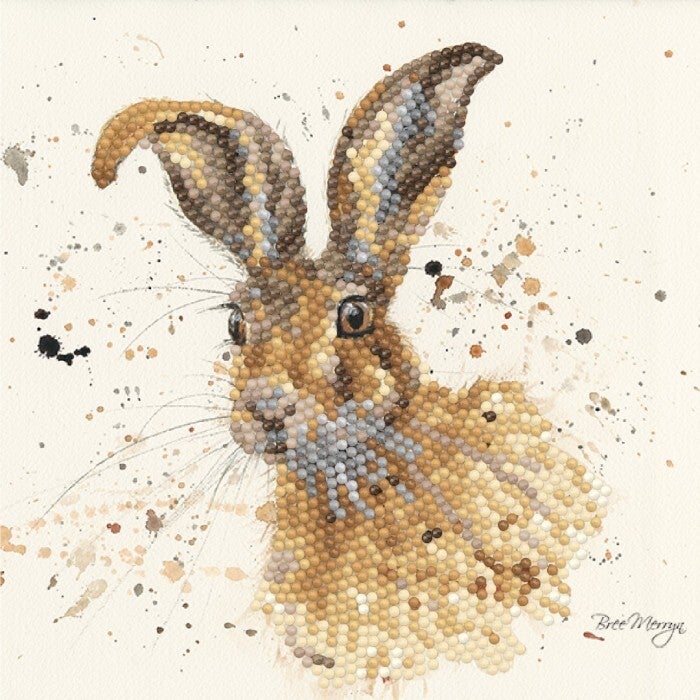 Bree Merryn - Diamond Art Card Kit - Hugh  BMSA08