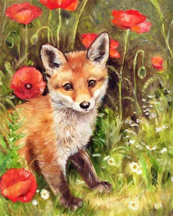 Crystal Art Kit ® Fox Club in Poppy Field (40x50 cm/full)