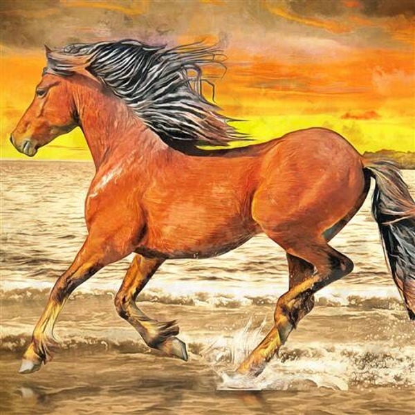 Crystal Art Kit ® Horse on the Run (30x30 cm/full)