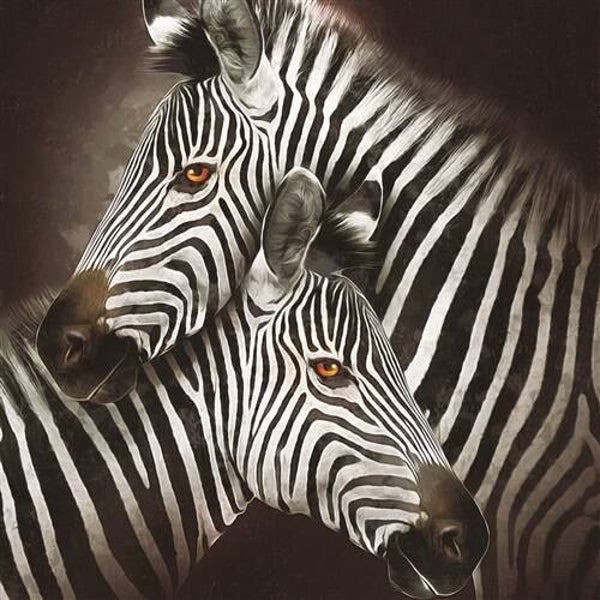 Crystal Art Kit ® Zebra Hugs (30x30 cm/full)