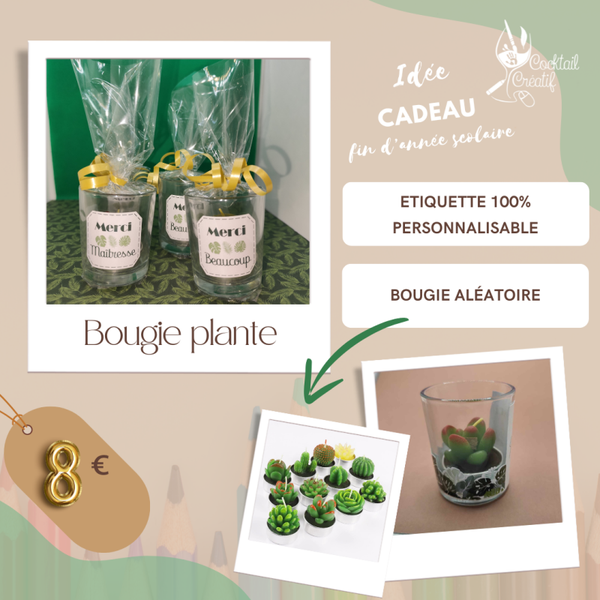 Bougie plante