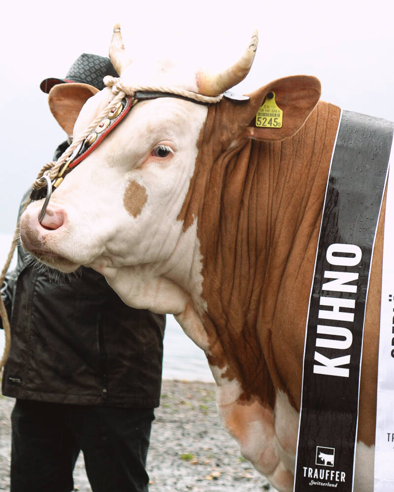 munitaufe-kuhno-163-2.jpg