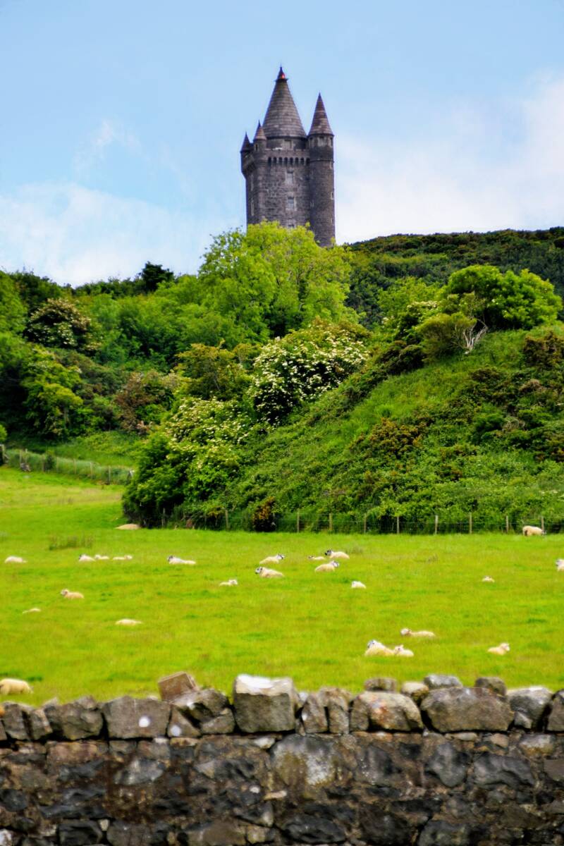 Scrabo-Turm,  North Down, Nordirland
