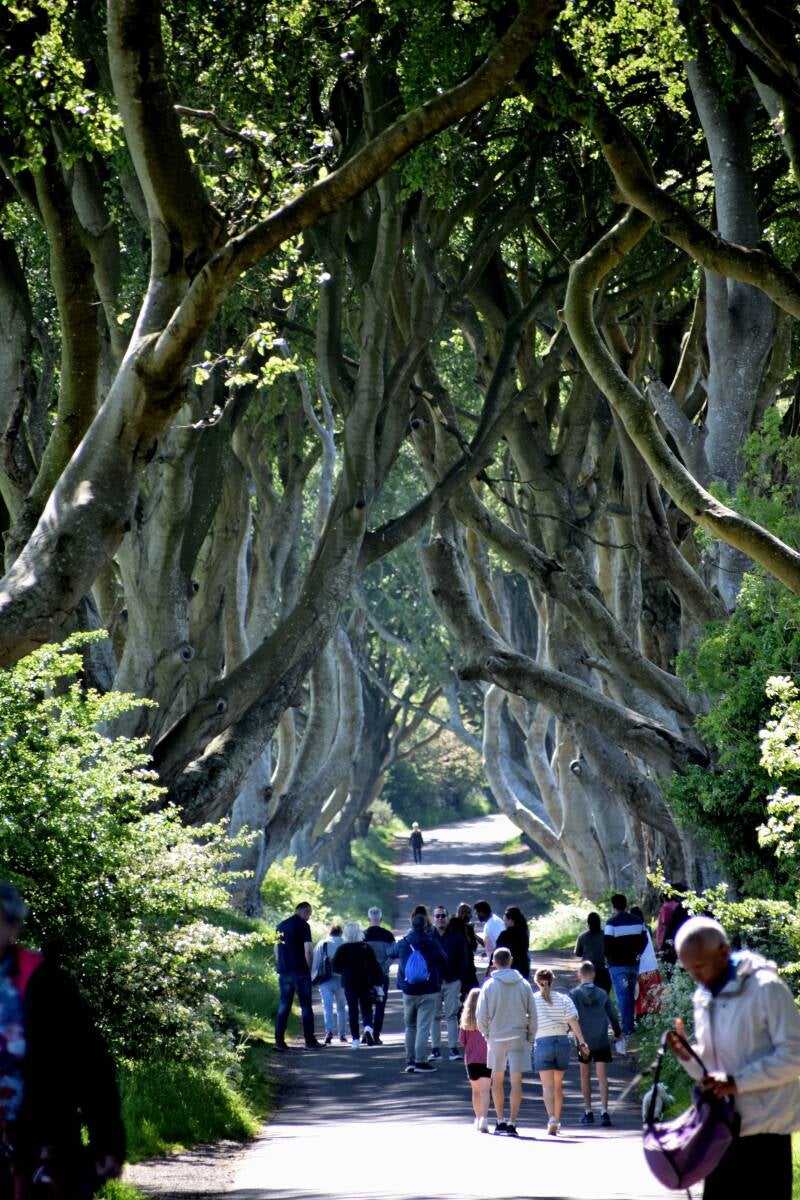 Dark Hedges, Nordirland