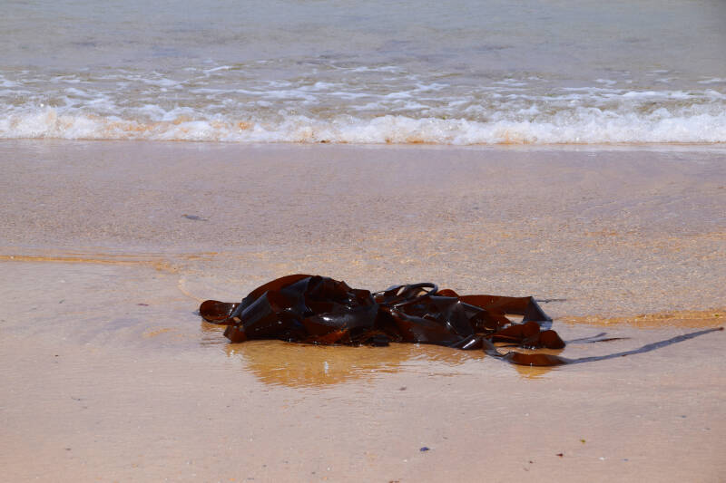 Whiterocks, Nordirland