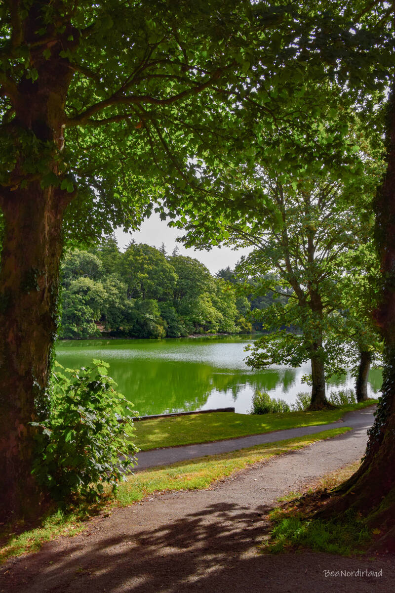 Hillsborough Forest Park , Nordirland, Co. Down
